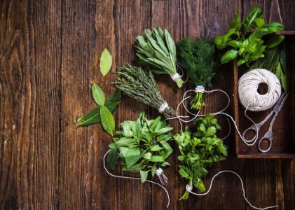 Discover the Culinary Wonders of Herbs