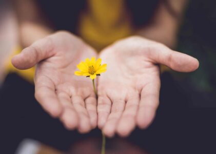 Exploring Mindfulness and Meditation