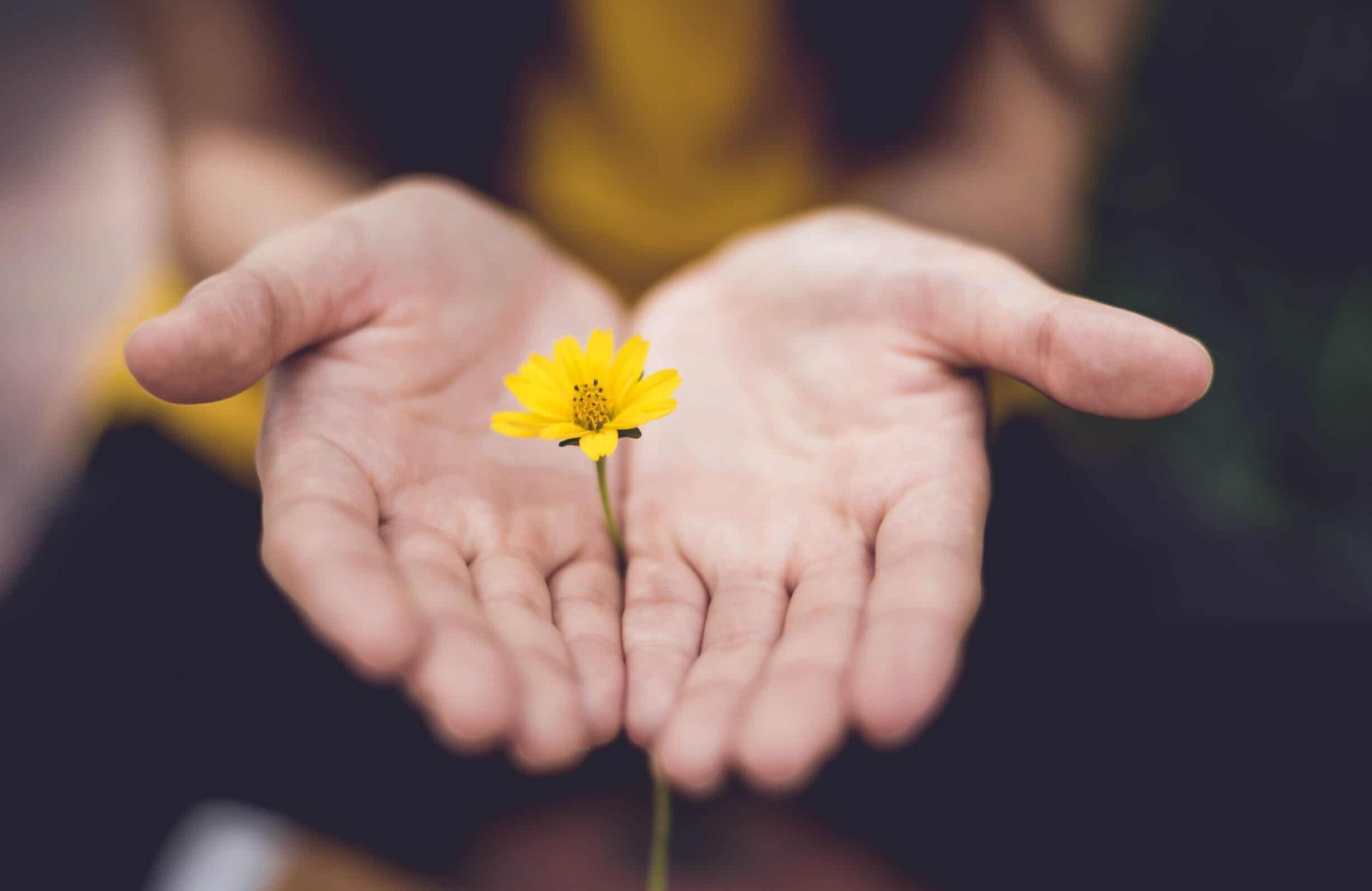 Exploring Mindfulness and Meditation