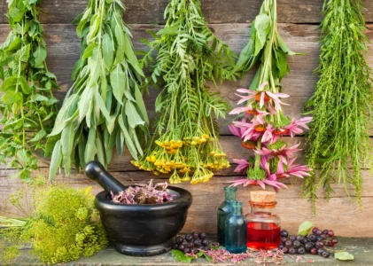Exploring the Medicinal Properties of Herbs