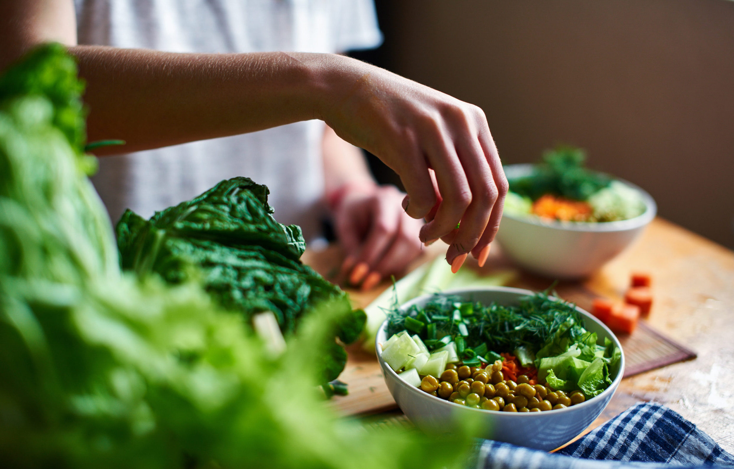 Exploring the Relationship Between Diet and Digestion