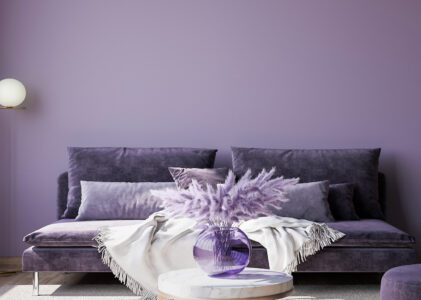 Exploring the World of Colorful Home Palettes