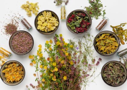 Growing Herbs 101: Tips for Cultivating Your Own Herbal Garden