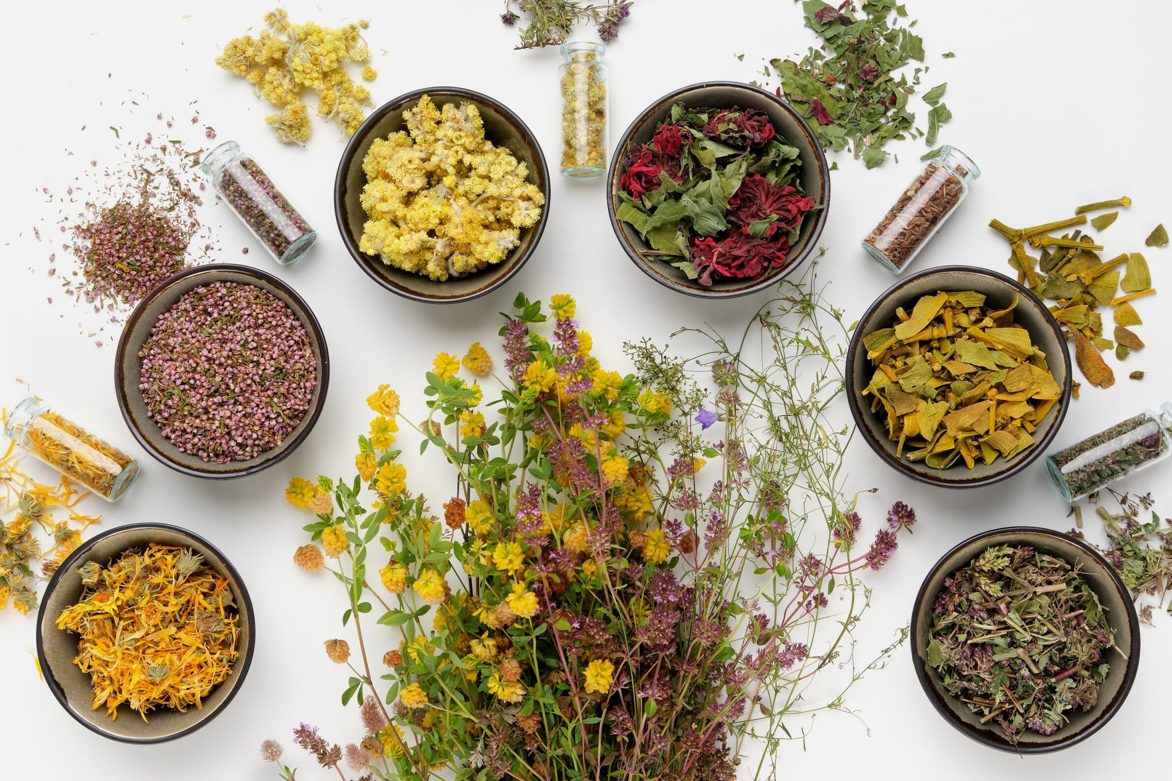 Growing Herbs 101: Tips for Cultivating Your Own Herbal Garden