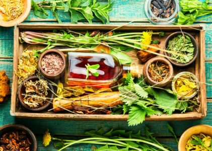Harnessing Nature’s Healing Power: A Comprehensive Guide to Herbs