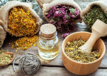 Nature’s Healing Secrets: A Comprehensive Guide to Herbs