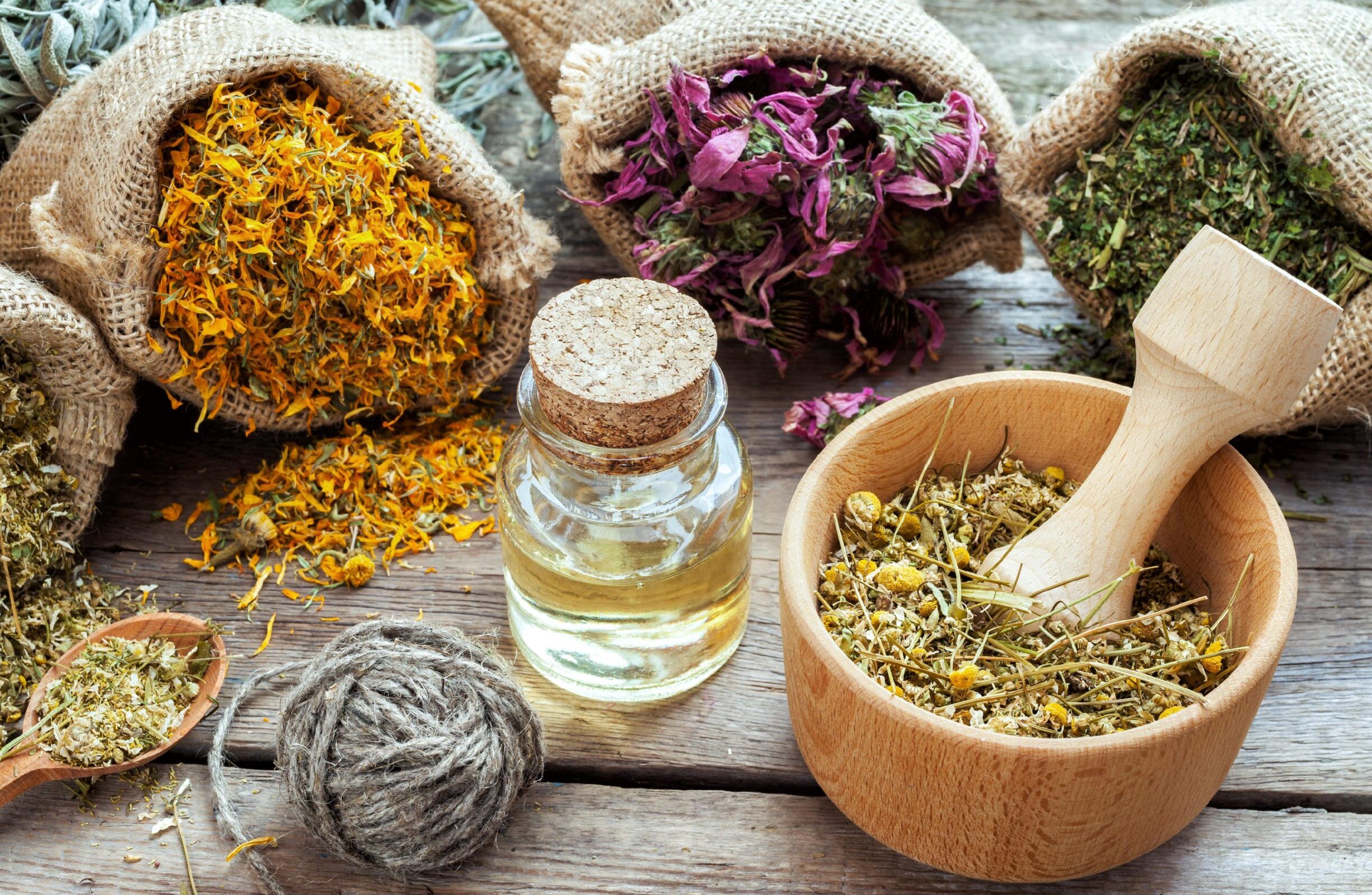 Nature’s Healing Secrets: A Comprehensive Guide to Herbs
