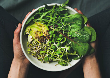 Nourishing Your Body: Essential Nutrients in a Plant-Based Diet