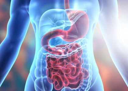 Understanding Digestive Disorders: Causes, Symptoms, and Treatments