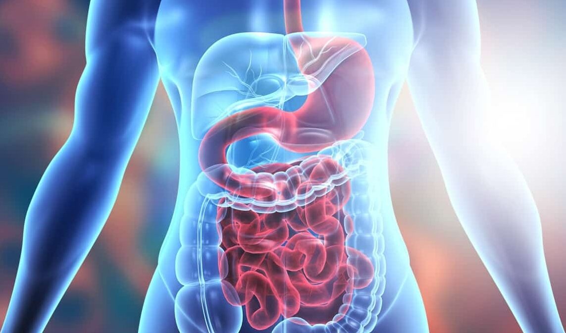 Understanding Digestive Disorders: Causes, Symptoms, and Treatments